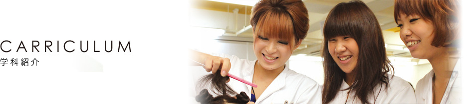 カリキュラム