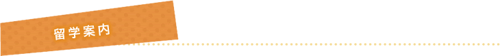 留学案内