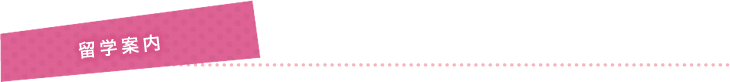 留学案内