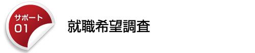 就職希望調査