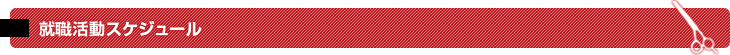 就職活動スケジュール